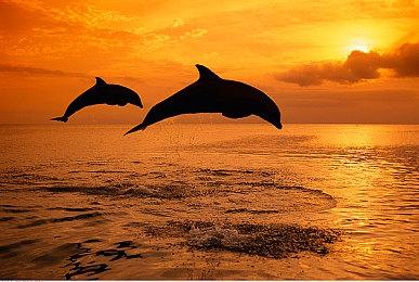 白金工作室新作《巴比伦陨落》封测1阶段结束 2阶段日期公开 